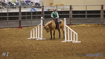 Trail class from 2015 San Antonio Horse thumbnail