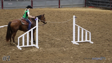 Trail class from 2018 San Antonio Horse thumbnail
