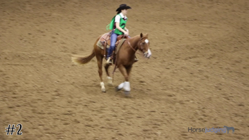 Ranch Riding class from 2018 San Antonio Horse thumbnail