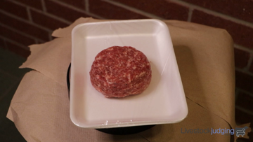 Meat ID class from Clear Falls thumbnail
