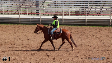 Western Horsemanship class from Big Country FFA thumbnail