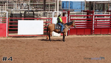 Ranch Riding class from Big Country FFA thumbnail