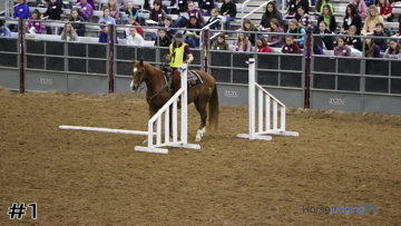 Trail class from 2020 San Antonio Horse thumbnail