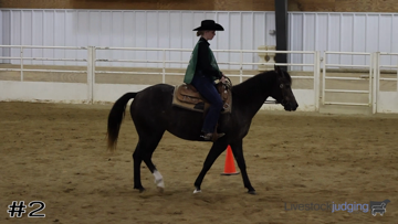 Western Horsemanship class from Ellsworth  thumbnail