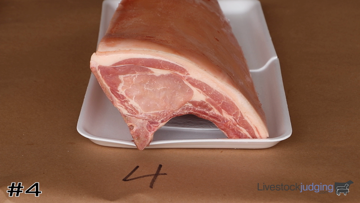 Pork Loins class from Hondo FFA Invitational CDEs thumbnail