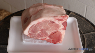 Meat ID class from Hondo FFA Invitational CDEs thumbnail