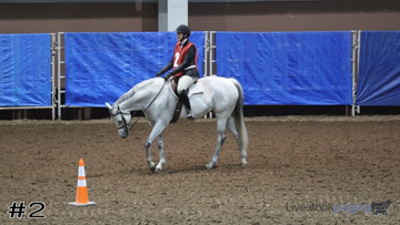 Hunt Seat Equitation class from 2022 Angelo State Horse thumbnail