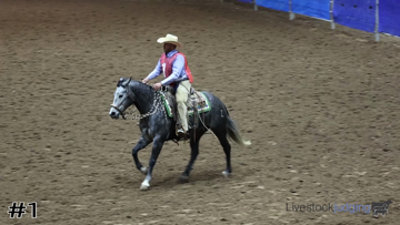 Ranch Riding class from 2022 Angelo State Horse thumbnail