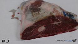 Cut#8