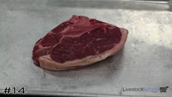 Cut#14