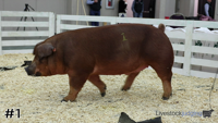 Barrow#1