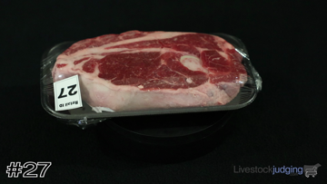 Meat ID class from 2023 Angelo State Meats thumbnail