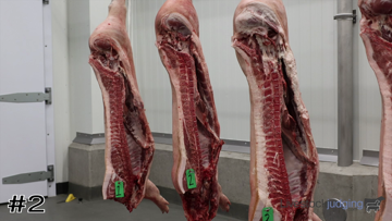 Pork Carcasses class from 2023 Western National Roundup Meats thumbnail