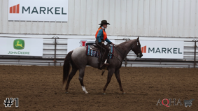 AQHA #4