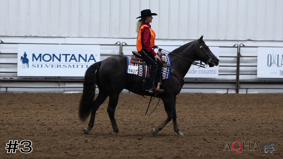AQHA #5