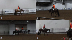 AQHA #6