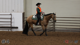 AQHA #9
