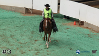 Horse#3