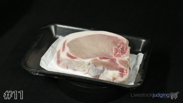 Meat ID class from 2024 Western National Roundup Meats thumbnail