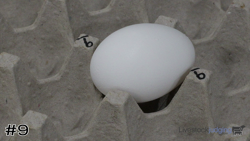 Egg#9