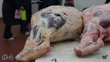 Beef Round class from 2024 Tarleton Meats thumbnail