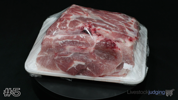 Meat ID class from 2024 Tarleton Meats thumbnail
