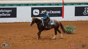 AQHA #3