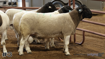 Rams class from 2025 Arkansas 4H thumbnail