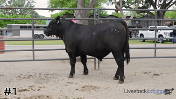 Bulls class from 2025 California FFA thumbnail