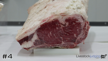 Beef Ribs class from 2025 Western National Roundup Meats thumbnail
