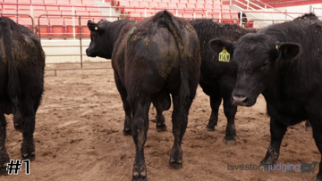 Bulls class from 2025 Nebraska FFA thumbnail