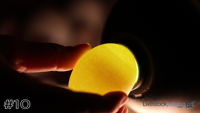 Egg#10