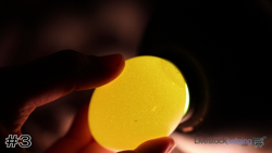 Egg#3