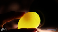 Egg#4