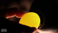 Egg#9
