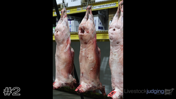 Lamb Carcasses class from 2025 San Antonio Meats thumbnail