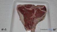 Steak#4