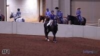 Horse#1
