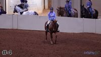 Horse#4