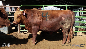 Bulls class from 2025 Utah FFA thumbnail
