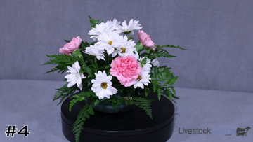 Floral Design class from 2025 Waller Floral thumbnail