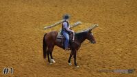 Horse#1