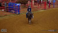 Horse#2