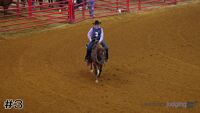Horse#3