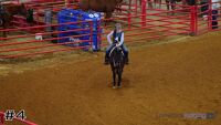 Horse#4