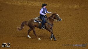 Class #4 Reining thumbnail
