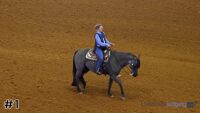 Horse#1