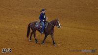 Horse#3