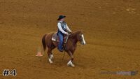 Horse#4