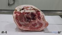 Loin#4